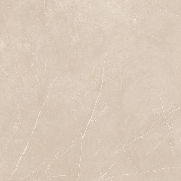 На изображениях NL01 60x60x10 Полир. (Керамический гранит)