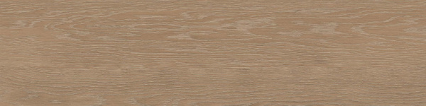 На изображениях RF02 14,6x60x8 Структур.Рект. (Керамический гранит)