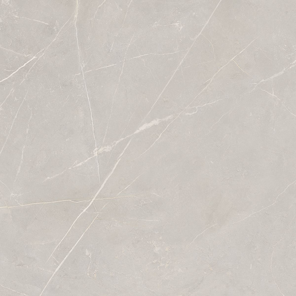 На изображениях NL02 60x60x10 Непол.Рект. (Керамический гранит)