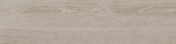 На изображениях RF01 14,6x60x8 Структур.Рект. (Керамический гранит)