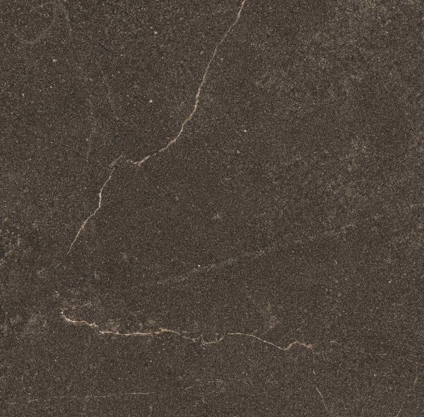 На изображениях GB04 60x60x10 Непол.Рект. (Керамический гранит)