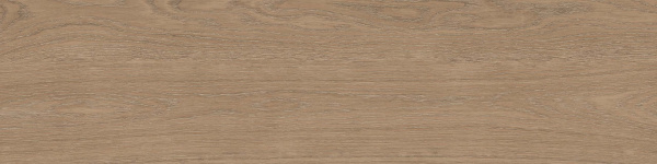 На изображениях RF02 14,6x60x8 Структур.Рект. (Керамический гранит)