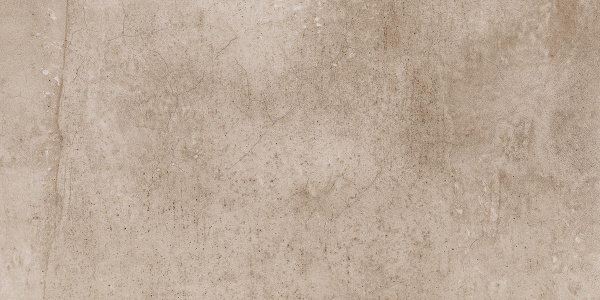 На изображениях EE02 30,6x60,9x8 Непол. (Керамический гранит)