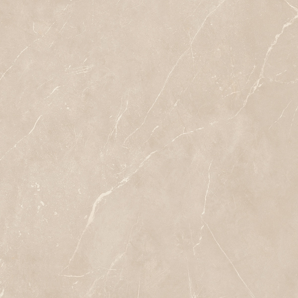 На изображениях NL01 60x60x10 Полир. (Керамический гранит)