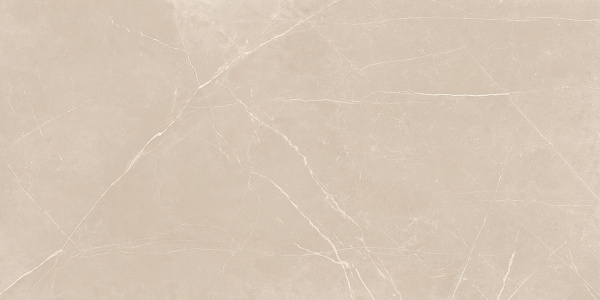 На изображениях NL01 60x120x10 Полир. (Керамический гранит)