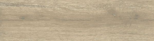 На изображениях DW02 14,6x60x8 Непол.Рект. (Керамический гранит)