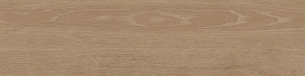 На изображениях RF02 14,6x60x8 Структур.Рект. (Керамический гранит)