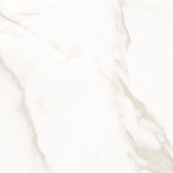 На изображениях Melody