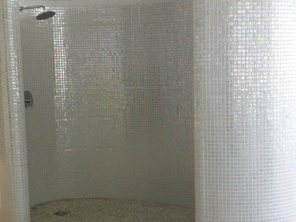 На фото Мозаика POOL-SPA WELLNESS (Togama)