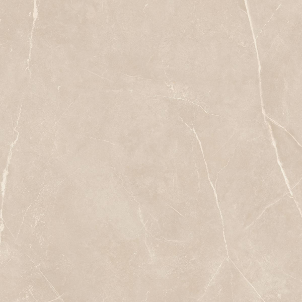 На изображениях NL01 60x60x10 Непол.Рект. (Керамический гранит)