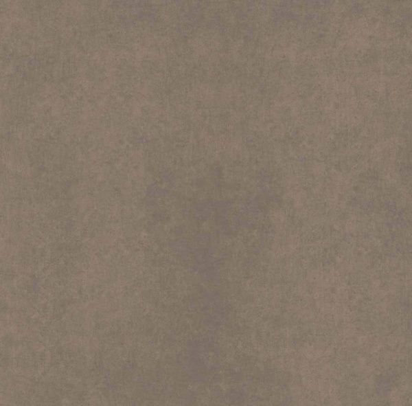 На изображениях CA04 60x60x10 Непол.Рект. (Керамический гранит)