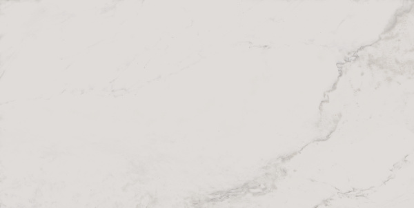 На изображениях MO01 30,6x60,9x8 Непол. (Керамический гранит)