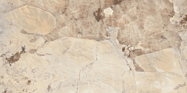 На изображениях MOG304 60x120x9 Полир. (Керамический гранит)