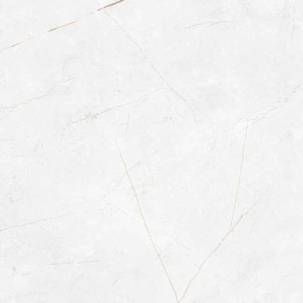 На изображениях NL00 60x60x10 Полир. (Керамический гранит)