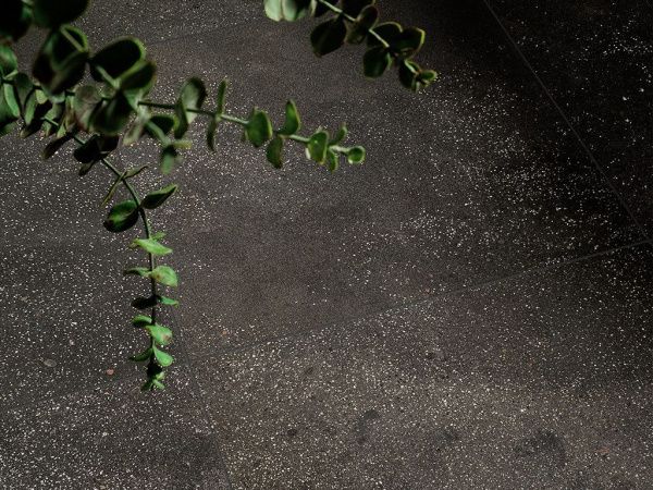 На фото Плитка I COCCHI (Ceramica Fioranese)