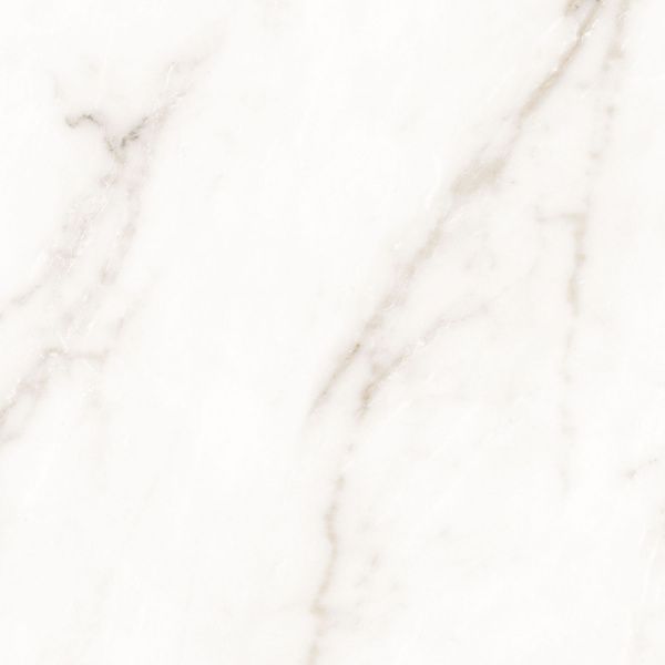 На изображениях Melody