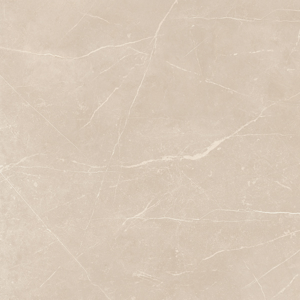 На изображениях NL01 60x60x10 Полир. (Керамический гранит)