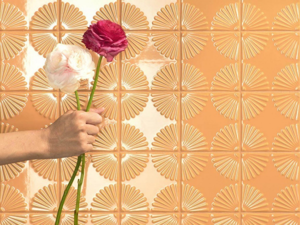 На фото Плитка SUPERCLASSICA SCW (41ZERO42)